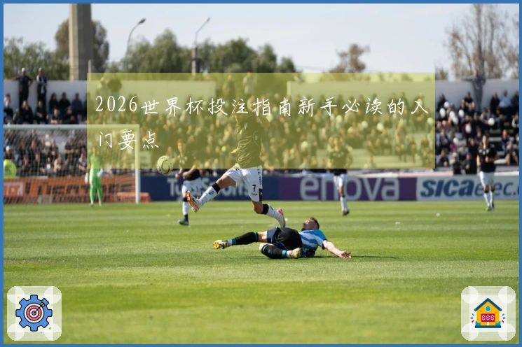 2026世界杯投注指南新手必读的入门要点